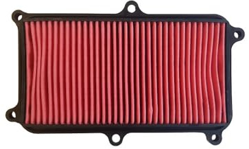 BCR Hokio Filtro Aria compatibile con Kymco People S I ABS/CBS 125-150cc 2017-2022 Ricambio scooter OEM 00117743