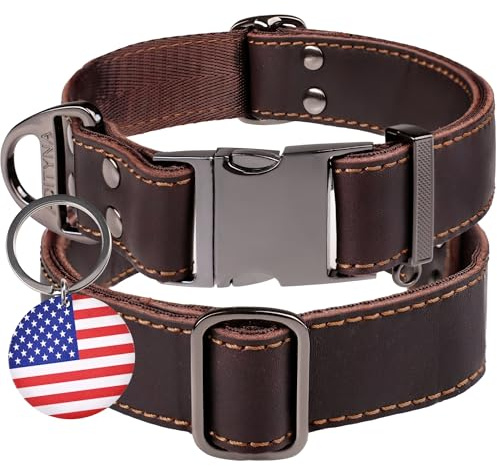 ADITYNA Collier pour Chien en Cuir avec Boucle en métal, Robuste, réglable, pour Chiens de Taille Moyenne et Grande, pour Promenade, Dressage, randonnée (Marron, Tour de Cou de 38 à 53 cm)