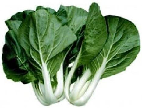 250+ Pak Choi bianco Stem Seeds:Seeds
