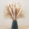 Falafoty Decorazione di Erba di Pampas Essiccata, Bouquet di Pampas Grass con Fiori Essiccati di Bunny Tails,Decorazione da Tavolo Boho Fiori Secchi per Matrimoni,Camera da Letto, Vasi (60PCS)