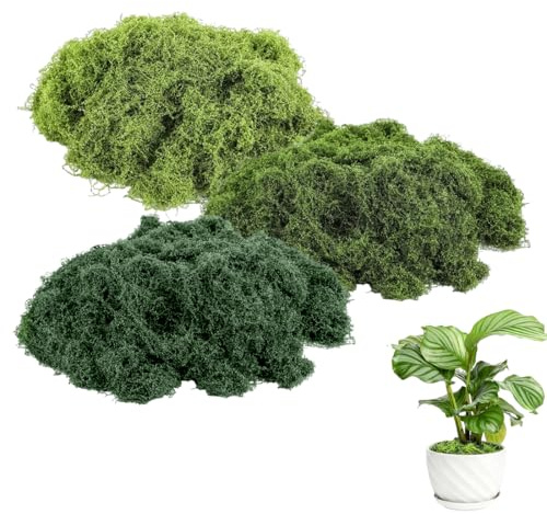 YUPZAR Muschio Stabilizzato 150g Artificiale Muschio Finto Per Decorazioni,Lichene Stabilizzato Sintetico Verde Simulazione Per Modellismo,Parete,Terrario,Casa