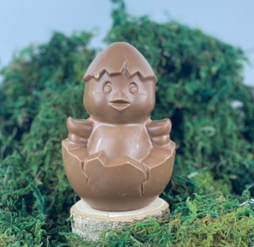 Moulage chocolat de Paques SANS SUCRE spécial diabétique POUSSIN CALIMERO 100g - chocolat de Pâques - Fabrication artisanale - cloche poussin oeuf (Chocolat sans sucre lait)