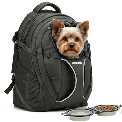 DAISTERN Zaino per Cani e Gatti fino a 8KG, Trasportino Ergonomico Dog Backpack Trekking con Tasca PC, Nylon 600D Rinforzato, Ventilato, Cuscino Comodo Rimovibile per Montagna Gita Viaggi Passeggiate