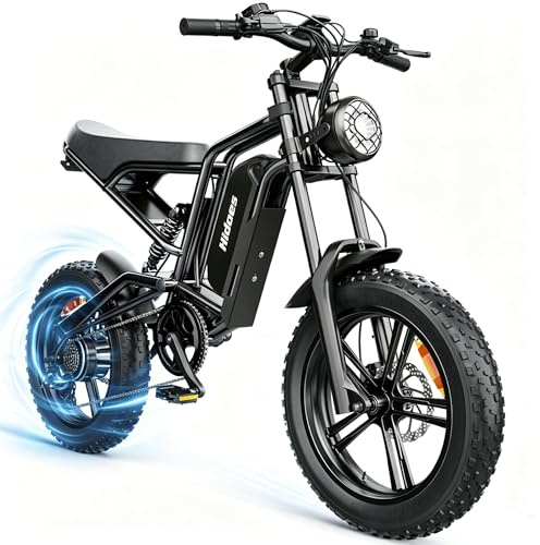 Hidoes B6 20×4 Fat Tire Electric Bike, Mountain & Road E-Bike for Adults