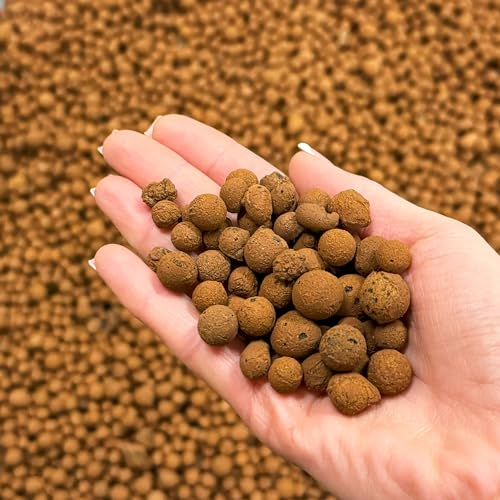 bhomescent Clay Pebbles for Hydroponics, Plant Pots & Orchids – LECA Balls for Drainage, Terrariums & Indoor Plants – Lightweight Expanded Clay Growing Media (1L)