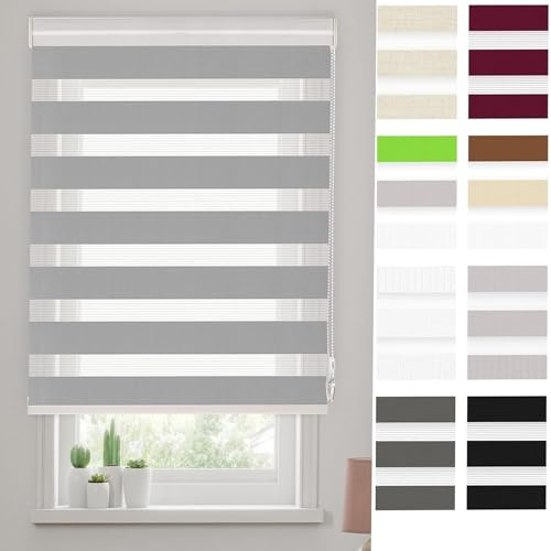 Cortina de oscurecimiento 110 x 220 cm Enrollable, Cadena, Estores para Ventanas y Puertas. con Cadena, Protección de Pantalla para Ventanas, Gris Claro