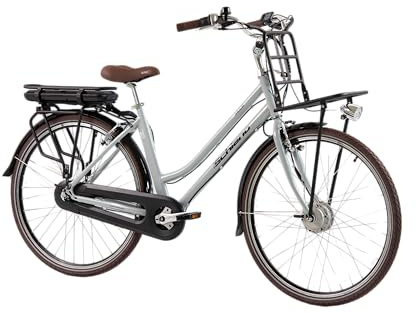 F.lli Schiano E-Ville, Bici Elettrica da Città 28 Inches per Adulti, 36V 10.4Ah Batteria Rimovibile, Motore 250W 40Nm, City Ebike, Grigio