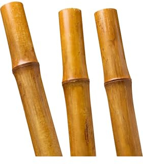 Jens Poppe Handelsvertretungen 5 Stück Bambus - Stangen 200cm lang 8-10 cm Durchmesser