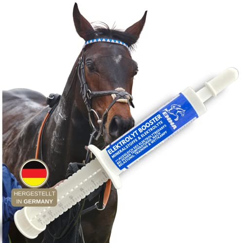 Elektrolyte für Pferde Paste 1St Elektrolyte Pferd Plus mit Vitamin b komplex mit Kalium Natrium Calcium Magnesium Pferd I Elektrolyt Liquid bei Durchfall Kotwasser Schwitzen Elektrolyte Sport Pferde