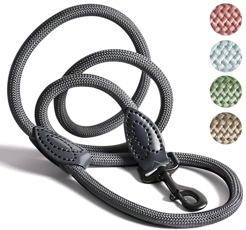ne&no Tauleine 1.2m (leicht dehnbar) für mittelgroße bis ganz große Hunde I Trainingsleine I Hundeleine robust I Führleine rund, geflochten I Seil Leine Hund I Cityleine I Dog Leash ANTHRAZIT, 120 cm