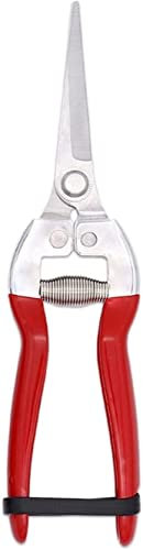 Tijeras de podar, tijeras para bordes, podadoras manuales, herramienta de recorte Tijeras de acero inoxidable Tijeras de podar de derivación afiladas profesionales Podado