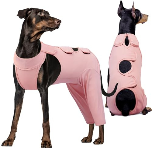 Kuoser Body para Perro Después de la Operación, Body para Perro Después de la Operación para Perro de Castración Macho Hembra, Traje de Recuperación para Perro, Protección para las Piernas del Perro