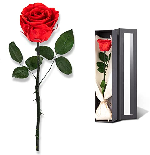 SofLiv Flowers for Delivery Prime, Preserved Roses Flower Gifts for Women, Real Roses Single Rose Presents for Her, Mom Birthday Gifts from Daughter, Valentines Flowers Red Roses