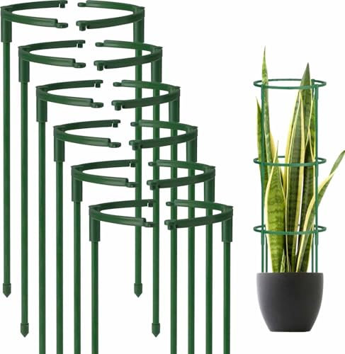 Norhogo Cage tomates Support pour plantes grimpantes, 12 pièces semi-circulaires, supports de jardin pour plantes pour fleurs, rose, tomates, lys, hortensia