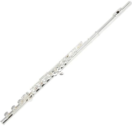 tvärflöjt instrument Nybörjarflöjt 17 hål E-nyckel C flöjtmusikinstrument