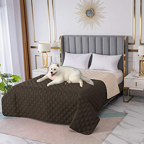 RBSC Home Coperta impermeabile per letto per cani, antiscivolo, grande divano, protezione per materasso per incontinenza, per animali domestici, cani e gatti, con 1 spazzola (5282Coffee)