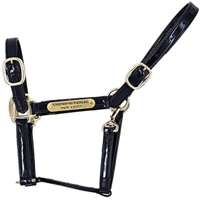 Sport Tent Halfter für Pferde Weidehalfter Stallhalfter Verstellbares Leder PU Pferdehalfter mit Kinn und Schnappverschluss L, Schwarz