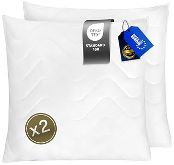 FAM' Home de Luxe Oreiller 65x65 Lot de 2 - Garnissage volumétrique (820g) - Blancs ergonomiques - Entretien Facile - Lavable Jusqu’à 95 °C - Moelleux Coussin 65x65cm Hypoallergéniques - Anti acarien