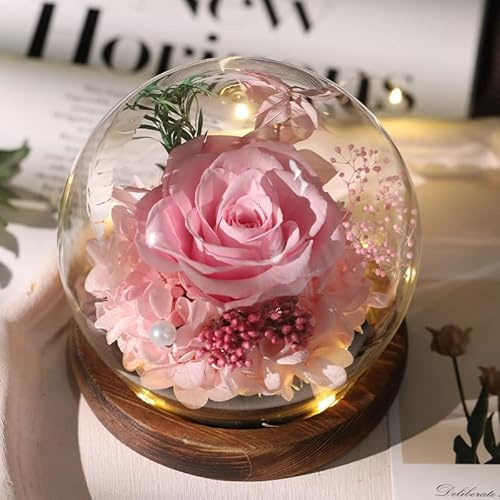 Gugxiom Ewige Rose in Glass Dome with LED Light, Eternal Rose (Rosa)