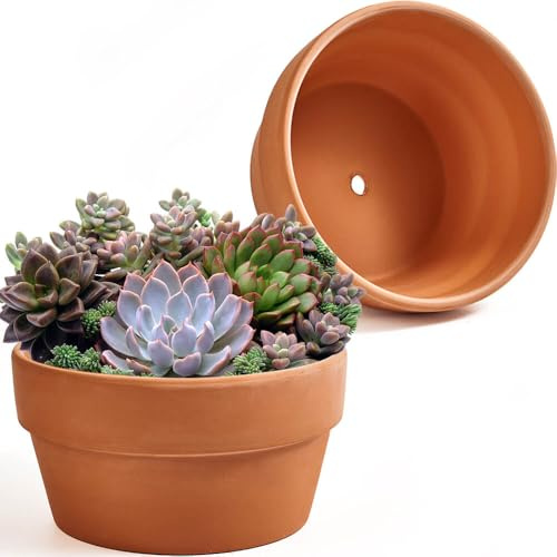 8 Inch Shallow Terracotta Pot for Succulent - 2 Pcs Large Clay Planter Pots with Drainage Hole, Shallow Plant Pottery Pots for Cactus Succulent and Other Indoor Outdoor Plants