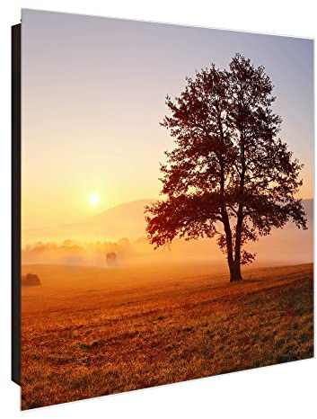 banjado Großer Schlüsselkasten Glas - Schlüsselbox 30x30cm mit 50 Haken - Schlüsselkasten modern für Schlüsselaufbewahrung mit beschreibbarer, magnetischer Glastür - Motiv Sonnenaufgang