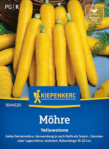 Kiepenkerl Möhrensamen Yellowstone 1044520 - Resistente Gemüsesamen mit feinsüßem Aroma, gelbe 18-22 cm hohe Karotten, hochwertiges Saatgut für 8-10 lfd. Meter