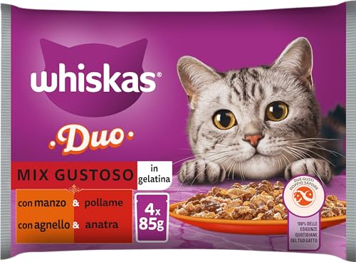 Whiskas Välsmakande Duo Mix 1+ år gammal våt kattmat, 13 förpackningar vardera med 4 påsar om 85 g (totalt 52 påsar)