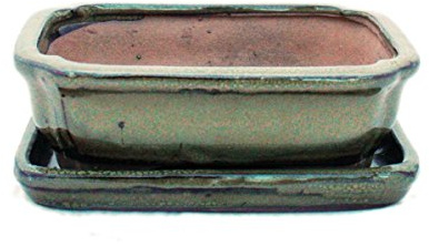 exotenherz - Bonsai-skål med fat storlek 2 – olivbrun – fyrkantig – modell G12 – L 15,5 cm – B 11,5 cm – H 4,5 cm