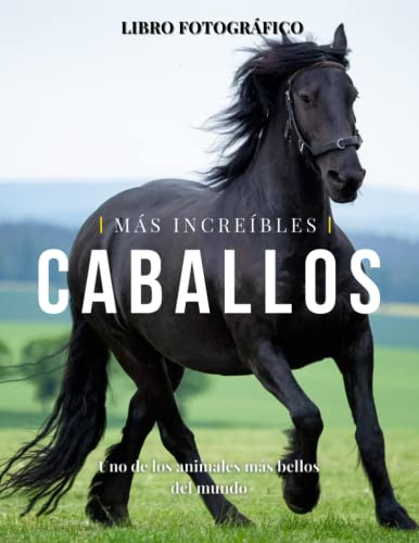 Caballos Más Increíbles: La Fotografía de Caballos Maravillosos para Niños, Demencia, Ancianos y Alzheimer, Amantes de los Caballos (Libro de imágenes).