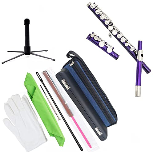 KERREY Professionelles Querflöten C-Flöte Mit 16 Tasten, Geschlossenes Loch, Anfänger, Schüler, Schüler, Flöte, Mit Reinigungsset, Handschuhhalter (Color : 01)