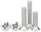 AYYSSM Vis à tête fraisée bombée à Empreinte cruciforme en Acier Inoxydable 304 M2 M2.5 M3 M4 M5 M6(10mm,M4 (10PCS))