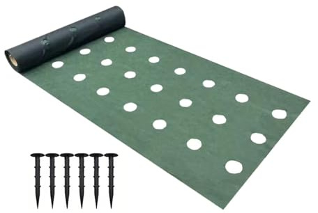 Tessuto Paesaggistico Resistente Per Uso Intensivo 600 X 100 Cm Resistente,