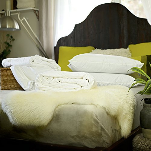 Juego de ropa de cama individual con relleno de seda de morera, combo de edredones y almohadas