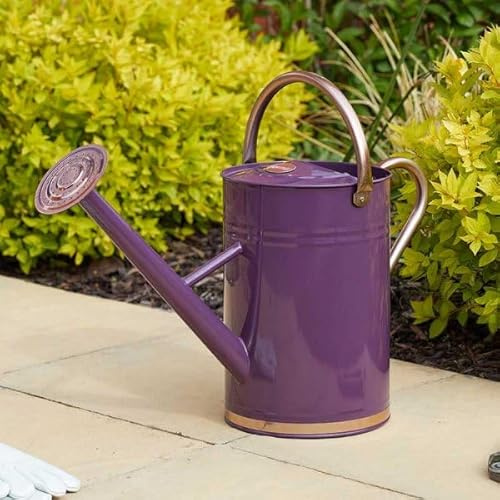 Garden Mile 4.5L Violet Purple Watering Can Outdoor All Year Round Plant Waterer Made From Galvanised Steel Metal Watering Cans For The Garden With Handle And Detachable Rose Rust-resistant