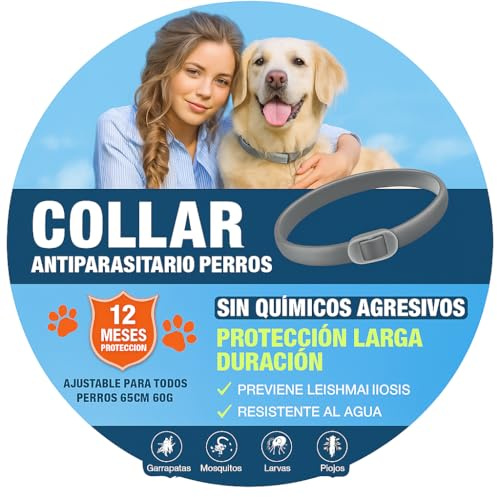 Collar antiparasitario Perros pequeños medianos y Grandes | antipulgas, Garrapatas y Mosquitos | Previene Leishmaniosis | Protección Natural Sin Químicos | Ajustable, Impermeable