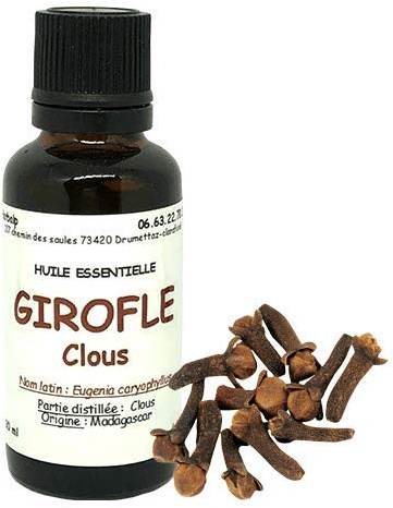 Huile essentielle de Girofle clous (100 ml) Eugenia caryophyllus