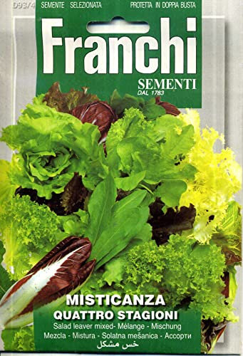 SEMENTI DI ORTAGGI DI QUALITA' PER USO HOBBYSTICO PROTETTE IN DOPPIA BUSTA (MISTICANZA QUATTRO STAGIONI)