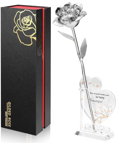 Ariceleo Gold Dipped Infinity Rose Last Forever Flower Decor, Birthday Gift for Women in Her Birthday Valentines Day Mothers Day, Resin Preserved Rose | Anniversary Present for Mom (Silver)