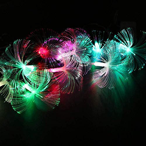 2Pcs Colorful Fibre Optic Fairy Lights, 2.5M 10 LED Fiber Optic String Light Fairy Lamp Battery Operated(2 x AA) Hanging Light for Home Bedroom Office Yard Party Christmas Decor Decoration