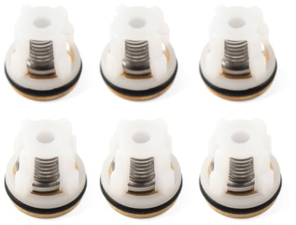 GZYF Kit de clapet anti-retour 42123 For Annovi Reverberi RMW SRMV RMV Pompe de nettoyeur haute pression Métal Argent