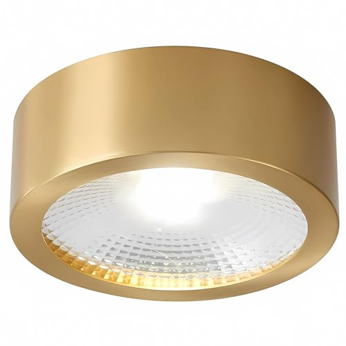 LGDEERCO All Copper Golden Ceiling Lamp LED 9W COB Surface Mounted Downlight Spotlight for Porch Corridor Living Room Bedroom Shop Dressing Room