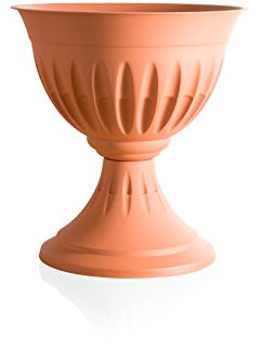 Bama alba Cup, fiore, 30 x 43 x 46 cm, Terracotta, 43 cm