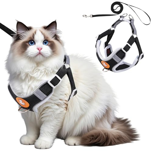 Waldspring Arnés para Gatos Antiescape con Correa, Arnes Gato con Correa 150cm, Transpirable y Ajustable, con Tiras Reflectantes para Gatos y Perros Pequeños, para Caminar y Entrenar (Negro, XXS)