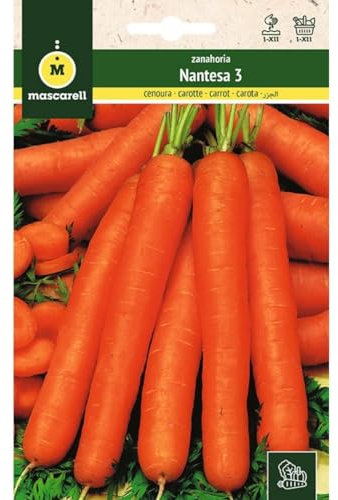 Mascarell Semillas, ZANAHORIA, Semillas Huerto, ZANAHORIA NANTESA-2, Crea tu Propio Huerto Urbano y Cultivo en Casa, Plantas Hortícolas, 8 Gramos