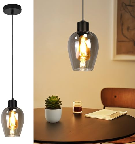 Lichtmaler Hängande Lampa Svart E27 Pendellampa för Matbord Enkelarmad | Kökslampa Rökglas Retro till Kök Sovrum Vardagsrum (Utan ljuskälla)