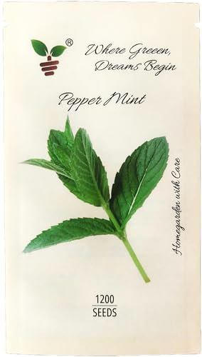 Approx. 1,200 Non-GMO Seeds - Mentha x piperita Peppermint – Grow Fresh Mint Plant Indoors or Outdoors – Herb for Gardens, Herbal Tea, Cat Mint Companion