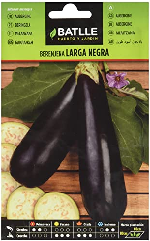 Batlle Gemüsesamen - Runde Aubergine Black Beauty (190 Samen)