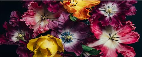 artissimo, Glasbild XXL, 125x50 cm Querformat, AG5394A, Vintage Blumen und Blüten auf schwarzem Hintergrund, Bild aus Glas groß, Wanddeko, Wandbild modern, bunt lila pink schwarz