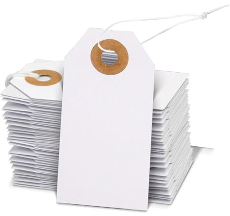100Pcs Price Tags with String - Blank Paper Hang Cards with Reinforced Tear-Resistant Hole, Durable for Luggage, Clothing, Gifts, Jewelry Display for Shop/Home/Crafting