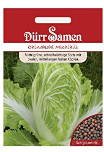 Dürr-Samen Chinakohl Michihili Saatgut